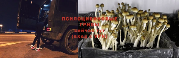 jwh Армянск