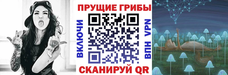 Галлюциногенные грибы GOLDEN TEACHER  наркотики  Карабаш 